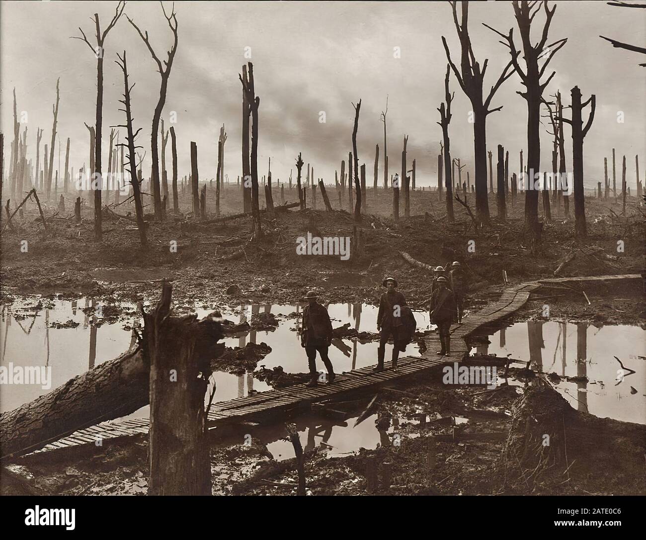 Gunners von der Australian 4th Division auf einer Strecke von Duckboard in Château Wood während der Dritten Schlacht von Ypern in Belgien. Foto von Frank Hurley am 29. Oktober Stockfoto