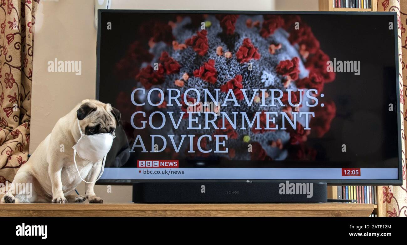 Penzance, Cornwall, Großbritannien. Februar 2020. Da die Bedenken über die Verbreitung des Corona-Virus weiter wachsen, startet die britische Regierung eine Reihe von nationalen Informationsanzeigen. Credit CWPIX / Alamy Live News. Stockfoto