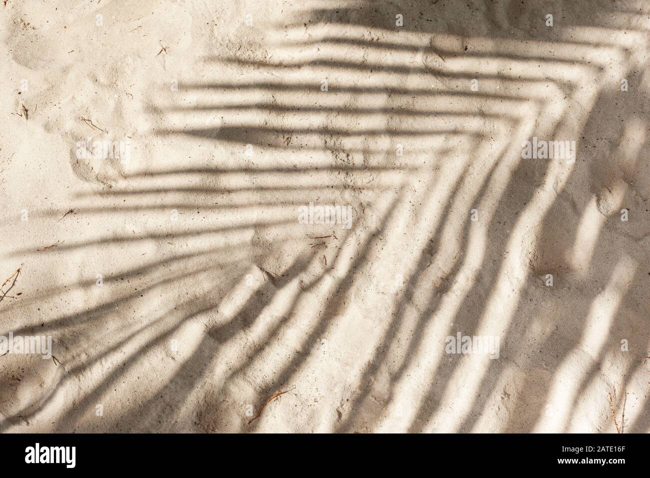 Schatten von Palmenzweig auf Sand dicht oben Stockfoto