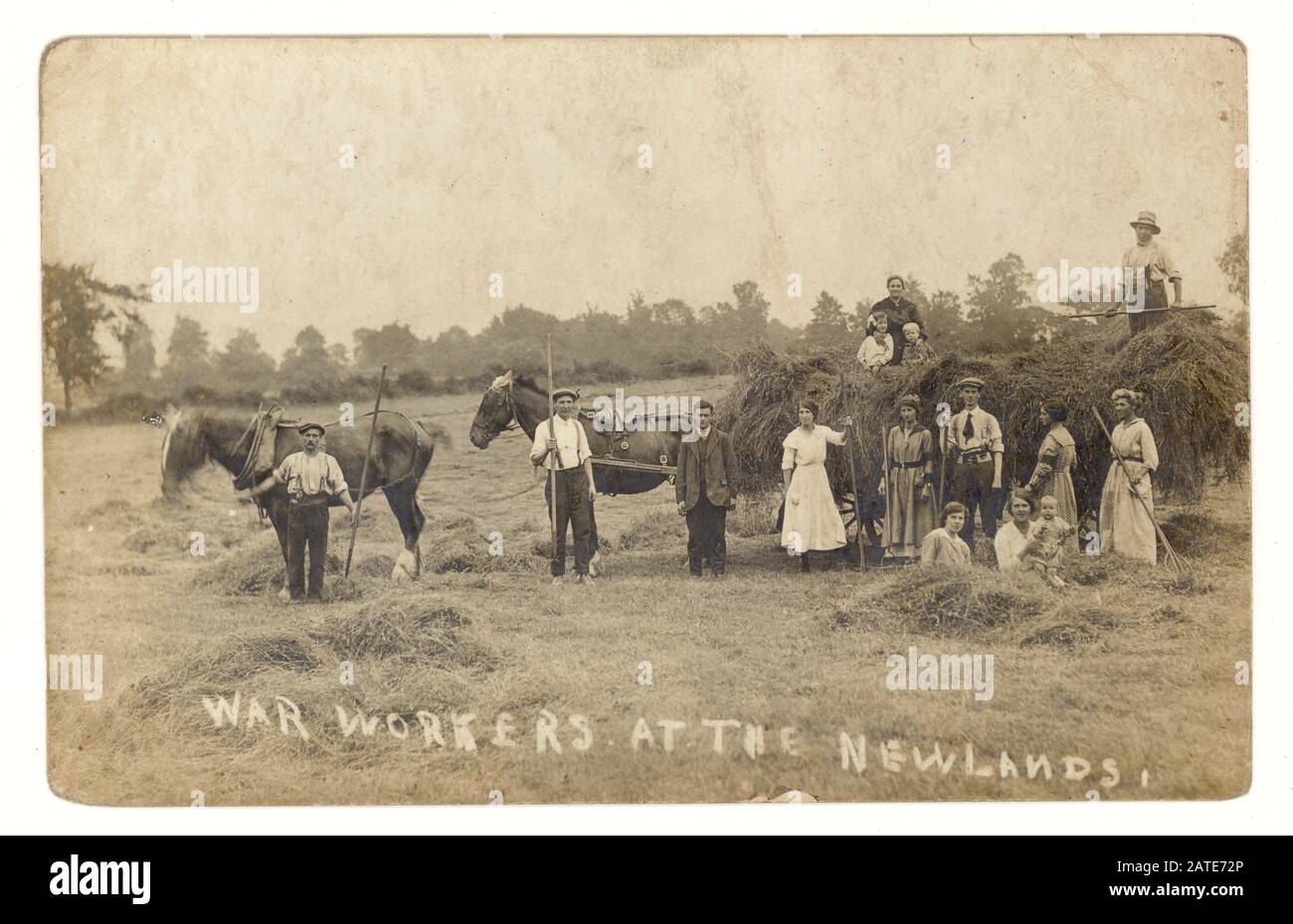 Postkarte aus der 1. Ära von Landarbeitern mit mehreren Land-Girls, die Land-Army-Armbänder tragen, um sie von den Landarbeitern zu unterscheiden und zu zeigen, dass sie sich im aktiven Kriegsdienst befinden. Foto aufgenommen in Newlands, ca. 1917, Großbritannien Stockfoto