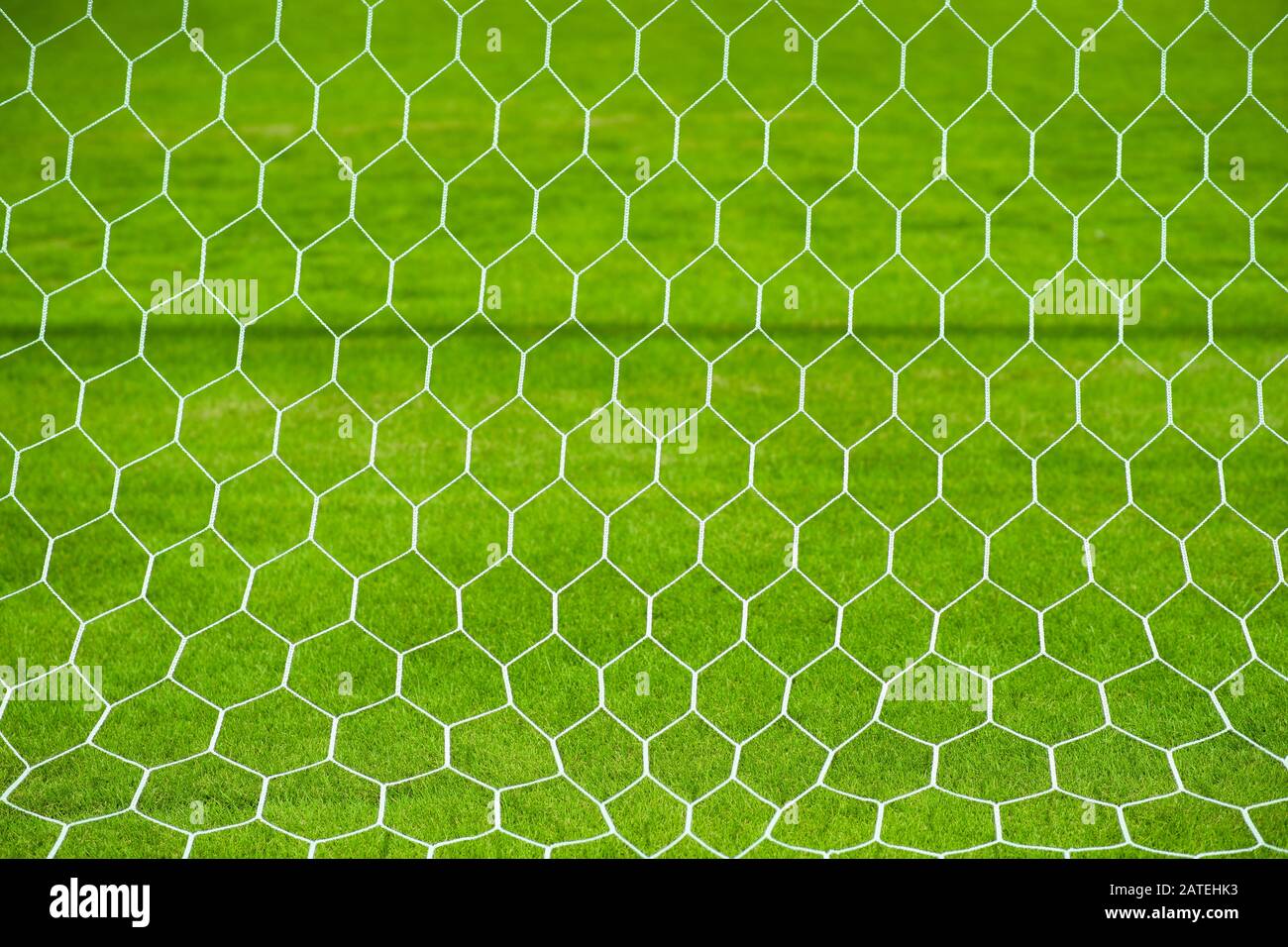 Fußballtornetz auf Rasenplatz Stockfoto