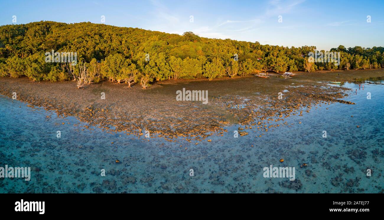 Luftbild des Mangrovenwaldes, Insel Romblon, Philippinen, philippinische See, Pazifik, Pazifischer Ozean Stockfoto