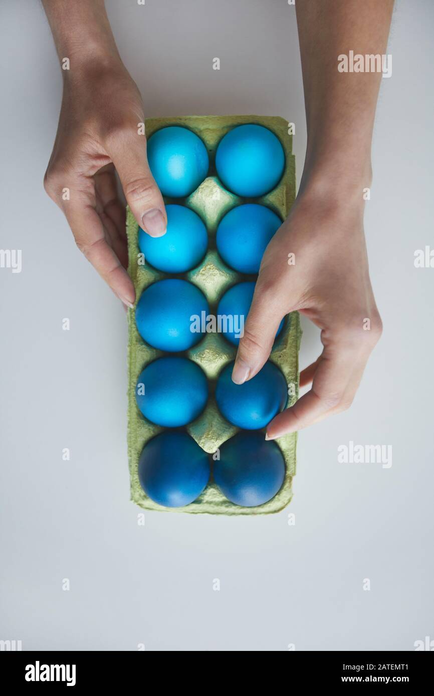 Oben Blick Hintergrund weibliche Hand Anordnung der Zusammensetzung von bemalten blauen Ostereiern in Kiste auf weißem, Kopierraum Stockfoto