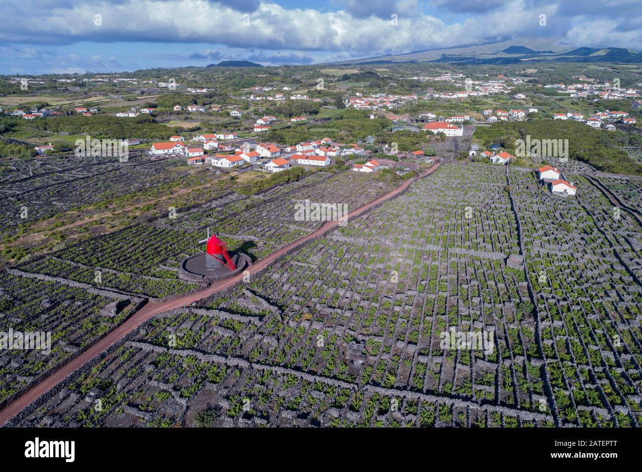 Luftaufnahme des Weinguts auf Pico Island mit der Windmühle Moinho do Pico Vermelho, Pico Island, Acores Stockfoto