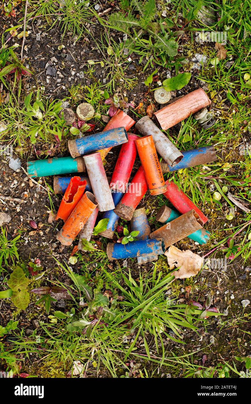 Leere Kunststoffschrotflinten Stockfoto