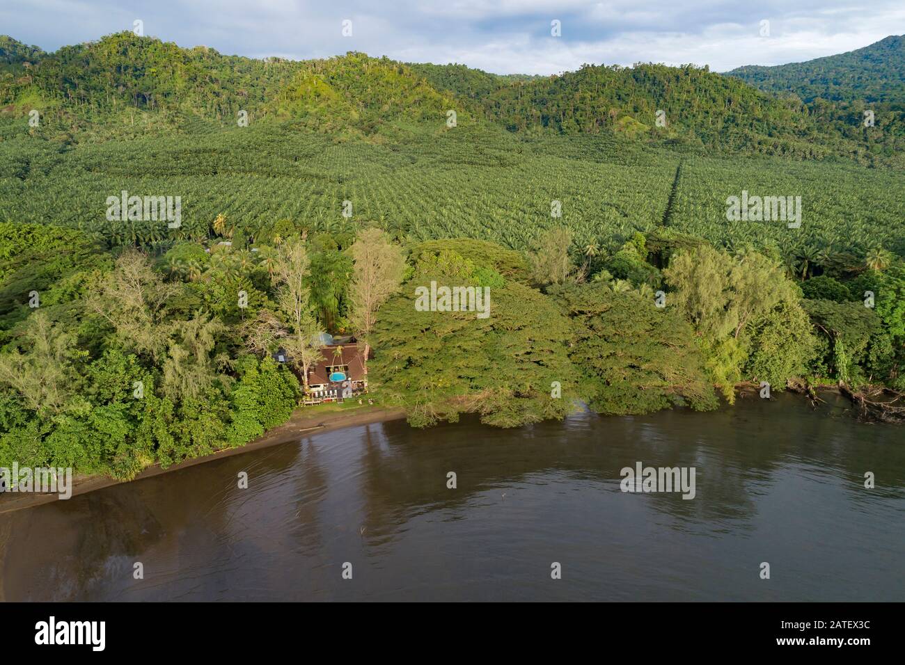 Arial View of Oil Palme Plantation, Elaeis guineensis, Kimbe, New britain, Papua-Neuguinea, PNG Stockfoto