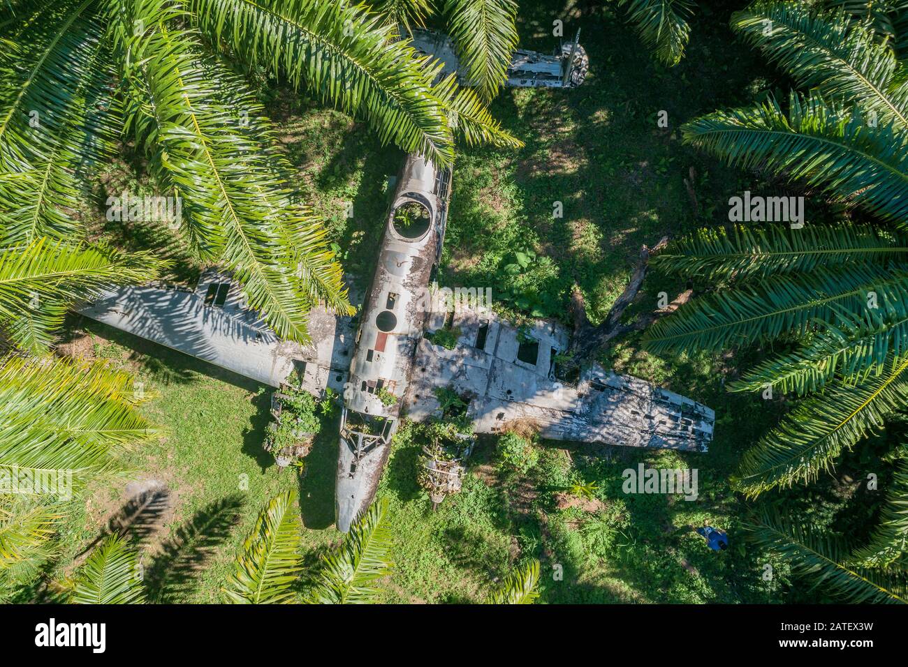Arial View von Flugzeugwrack in Der Ölpalmenplantage, Kimbe, New britain, Papua-Neuguinea, PNG Stockfoto