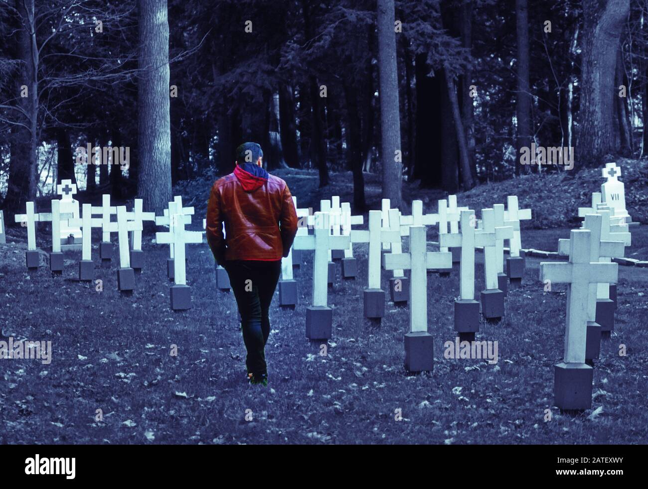 Ein Mann, der auf einem Friedhof mit weißen Kreuzen in einem Wald spazieren geht Stockfoto