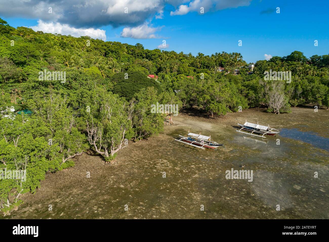 Luftaufnahme des Outrigger canos mit Mangrovenwald, Insel Romblon, Philippinen, philippinische See, Pazifik Stockfoto