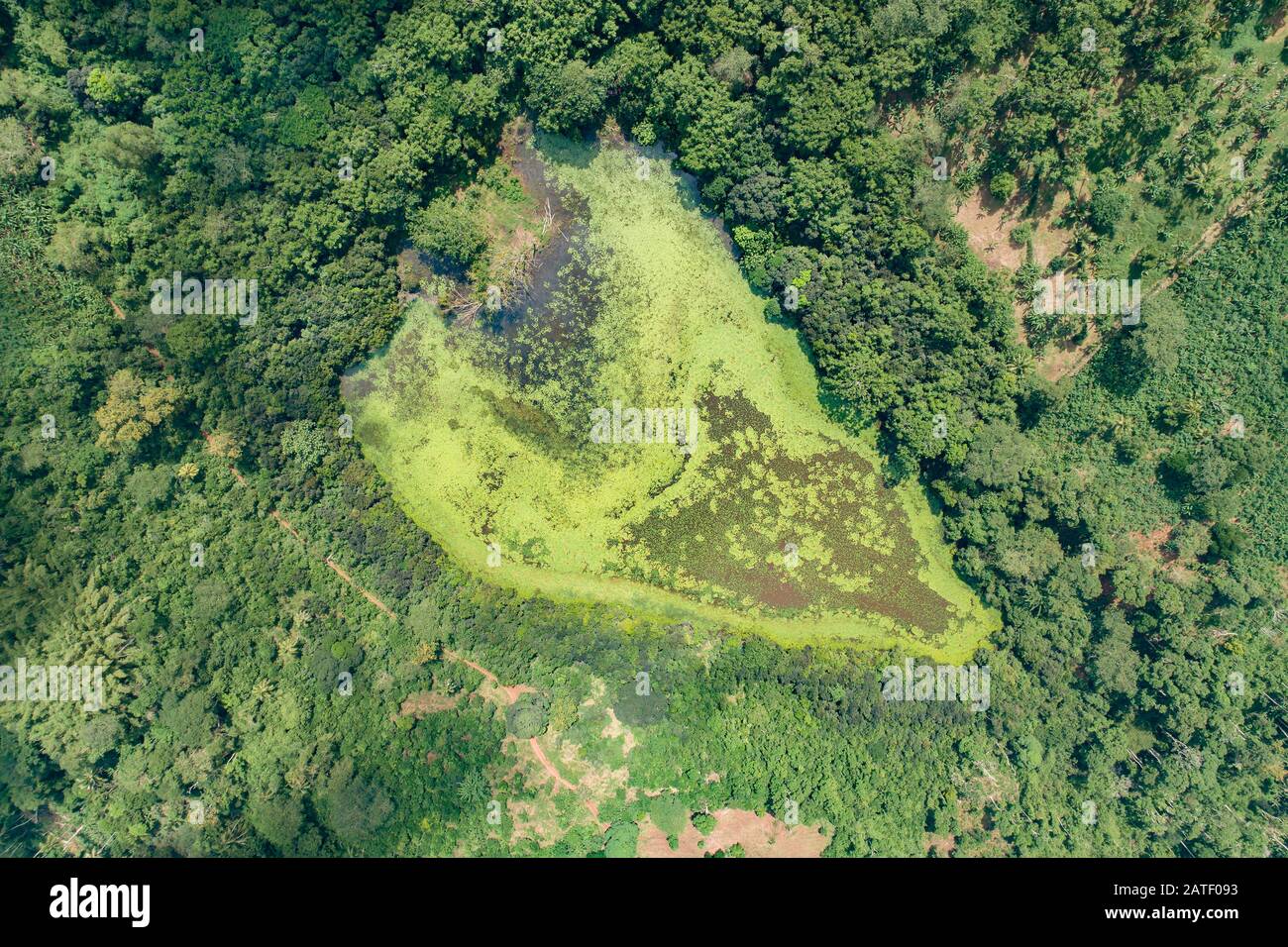Luftansicht von Karihani Lake, Karihani, Tsingoni, Mayotte Stockfoto