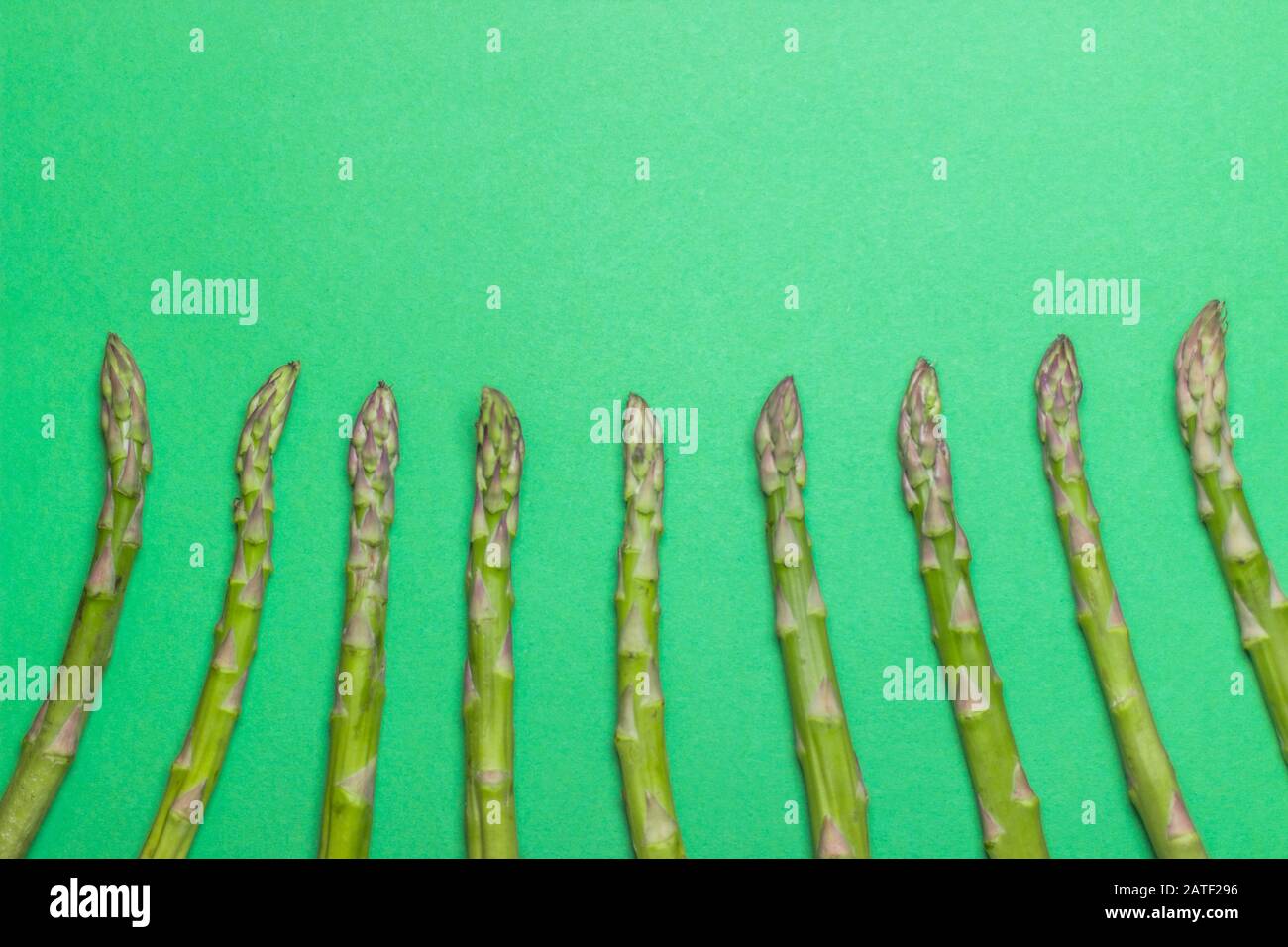 Grüner roher und gesunder Asparagus auf grünem Hintergrund. Entgiftung und Superfood-Konzept. Stockfoto