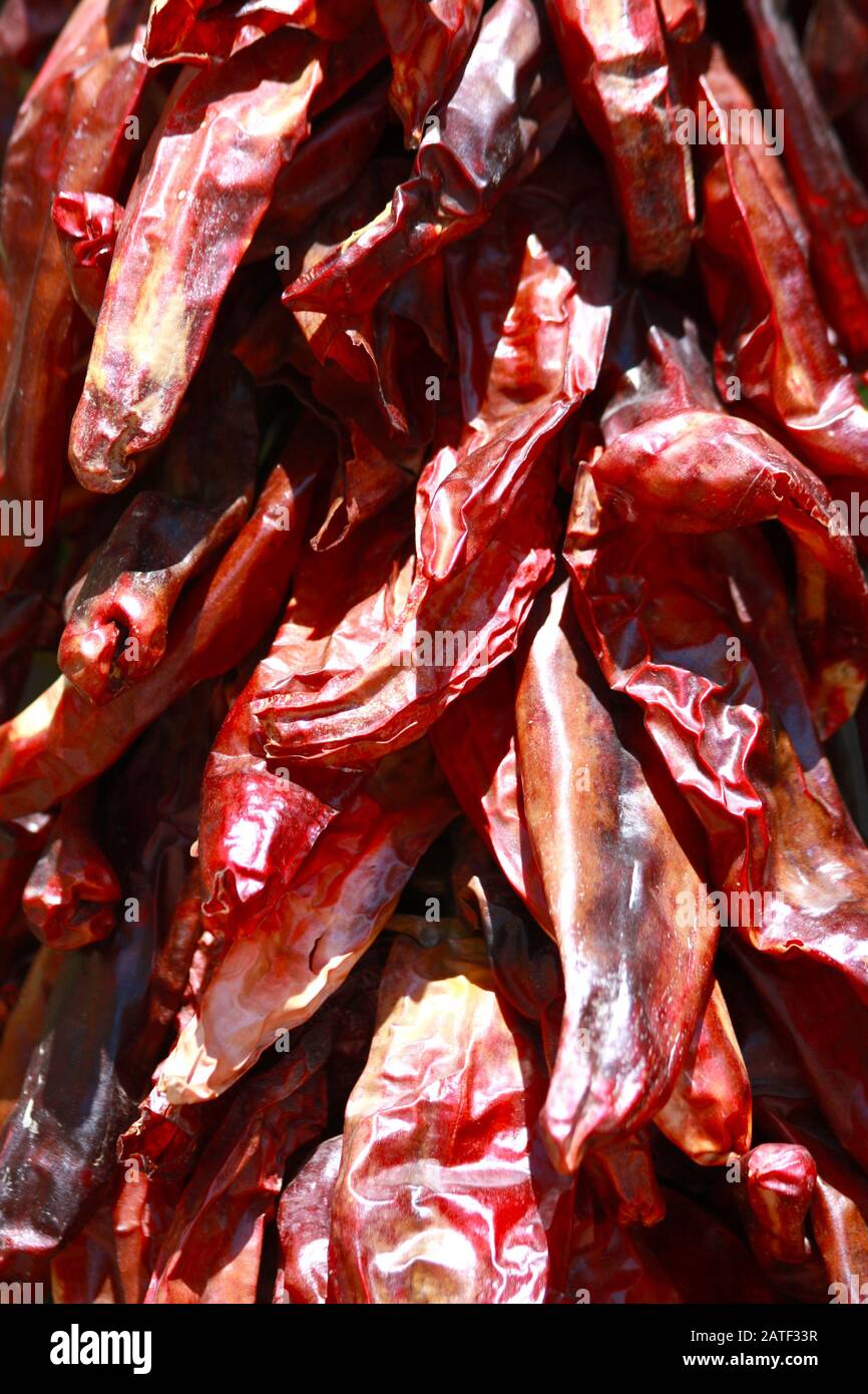 Nahaufnahme der roten chilischoten aus chile, die vor dem Gebäude in New Mexico, USA als Dekoration hängen. Santa Fe, Südwestamerika. Schnur von getrockneten Schoten Stockfoto