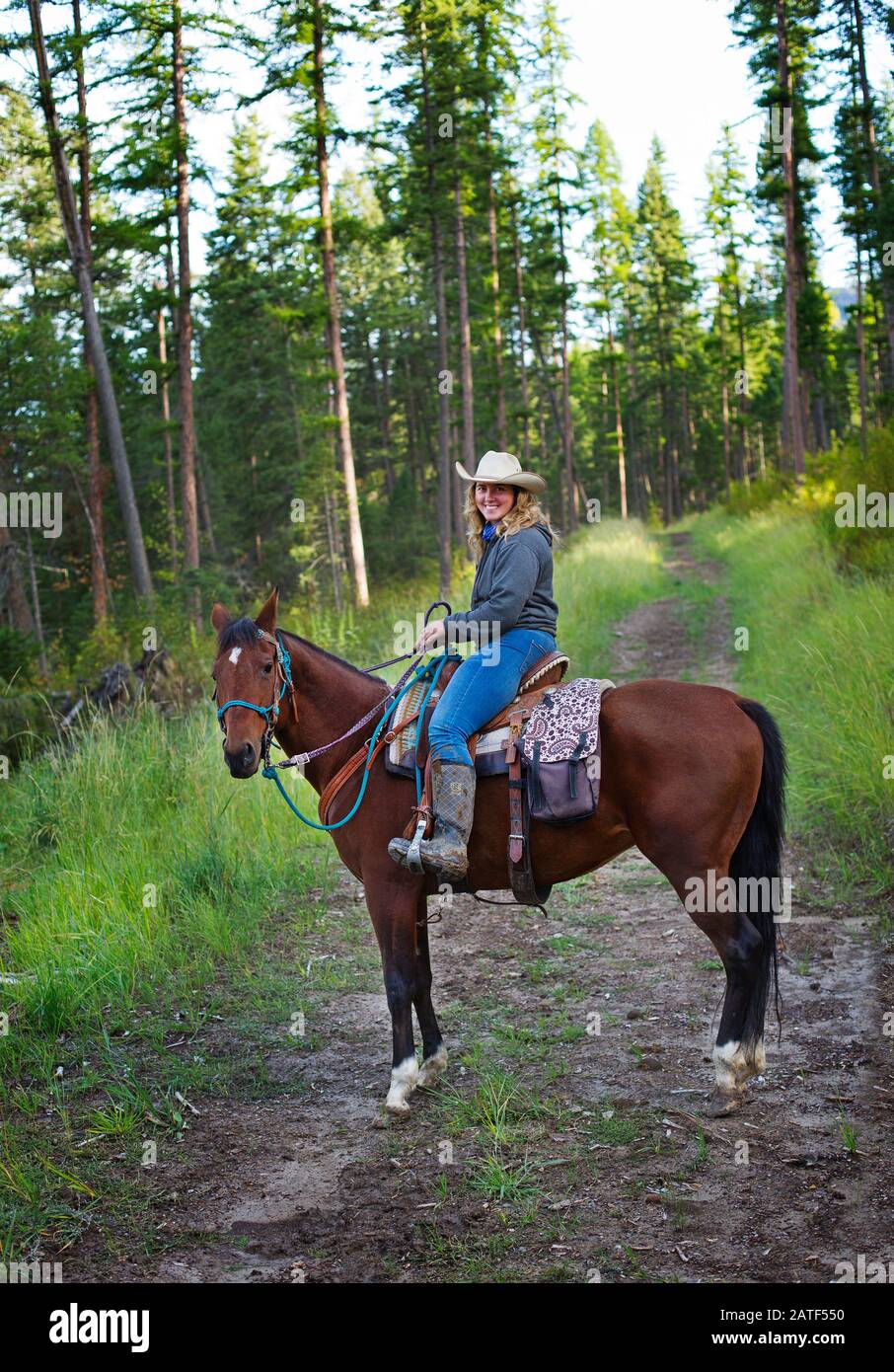 Eine junge Frau, die in Montana, USA, reitet Stockfoto