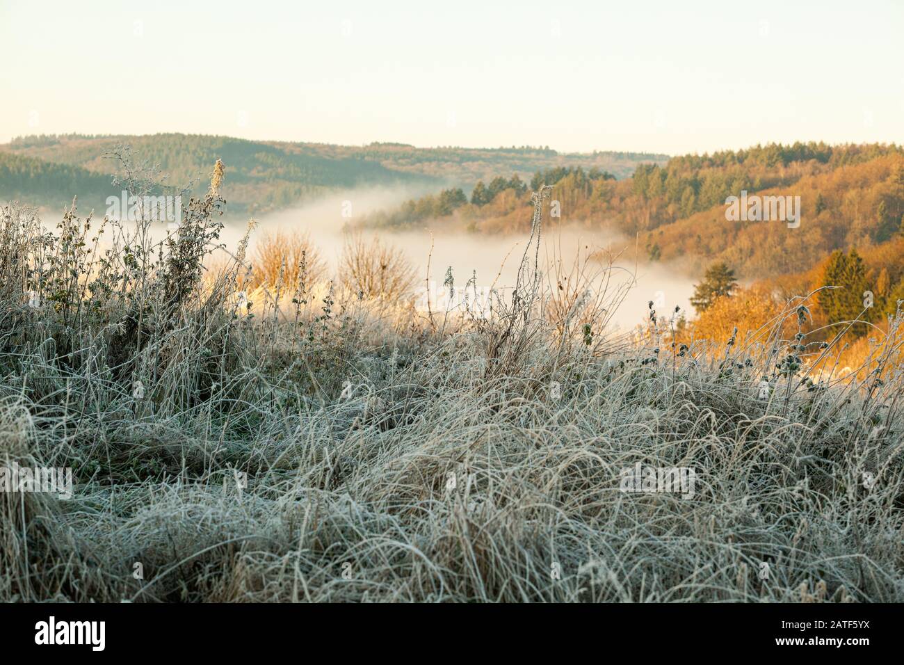 Ein frostiger Wintermorgen in der Nähe von Bouillon, Belgien Stockfoto