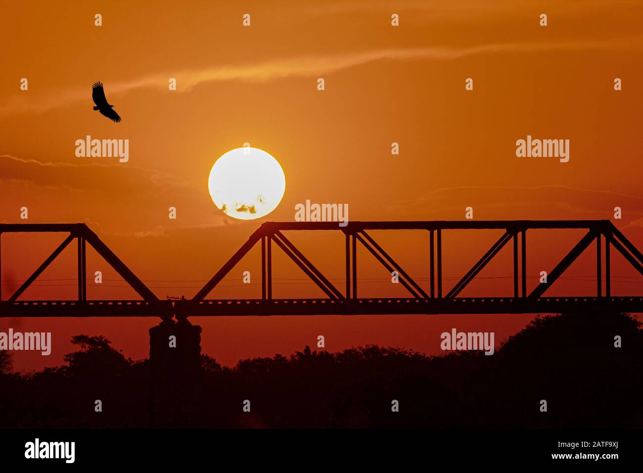 Die alte Eisenbahnbrücke am Skukuza Rastlager im Krüger Nationalpark bei Sonnenuntergang mit einem Geier, der kreist. Stockfoto