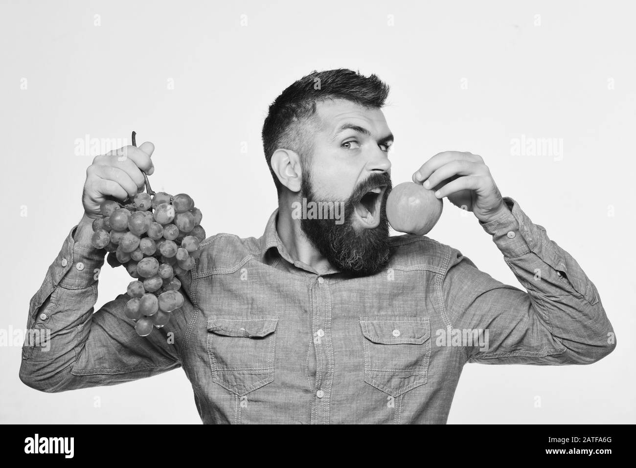 Winzer mit hungerndem Gesicht halten Trauben und Früchte. Bauer zeigt seine Ernte. Konzept für Weinbereitung und Herbstfrüchte. Mann mit Bart hält einen Haufen grüner Trauben und apfel isoliert auf weißem Grund Stockfoto
