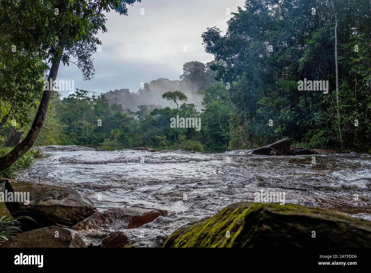 Rapids am Voltaire River, mit Morgennebel und ohne Menschen, Amazonien, Französisch-Guayana Stockfoto