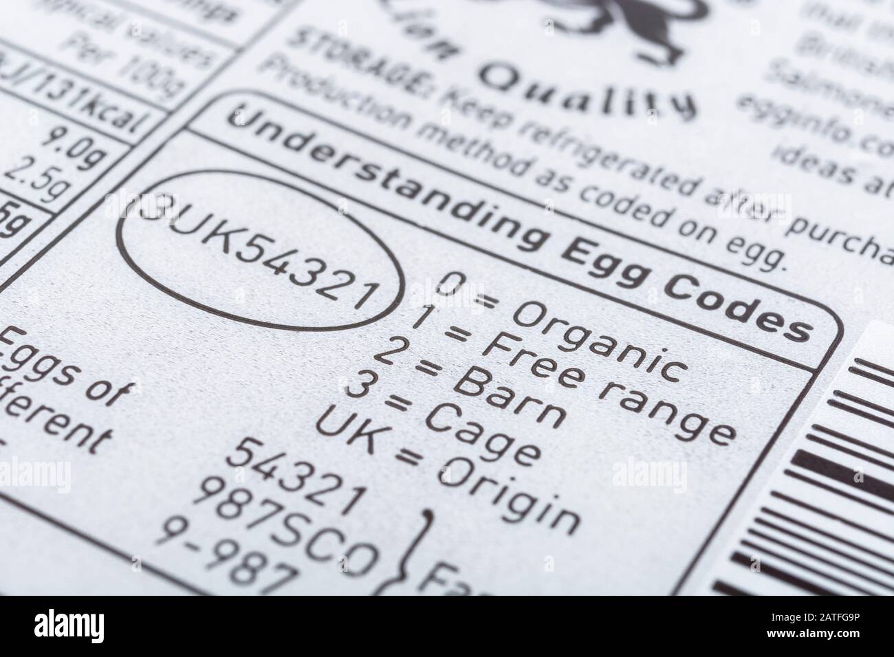 Lebensmitteletikett auf Eikiste von ASDA mit Erläuterung der UK Egg Codes. Flaches DoF-Makro - siehe zusätzliche Hinweise. Lebensmittelverpackungen, Ernährungsetiketten. Stockfoto