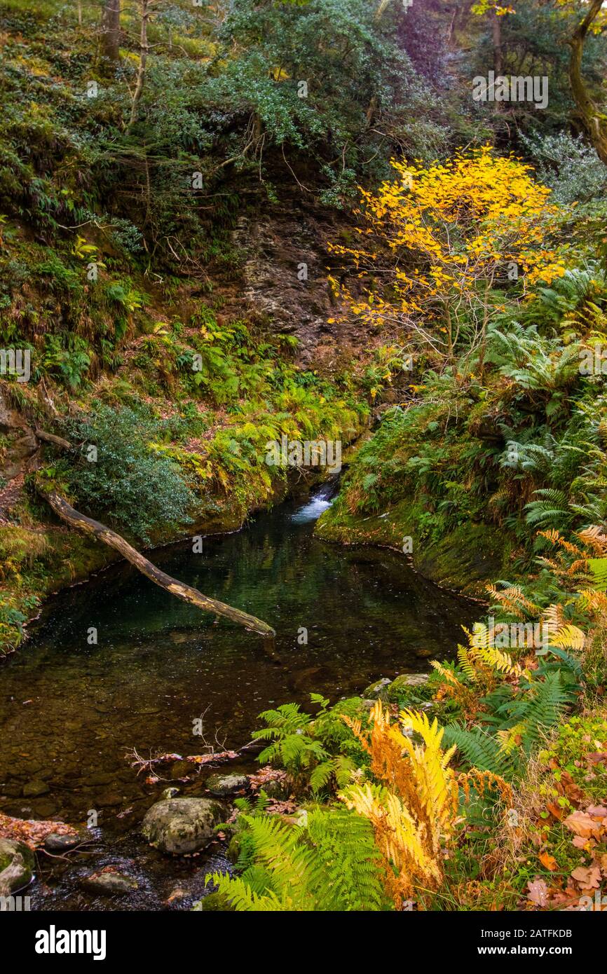 Schwarze und rote Ablagefläche in der Küche mit Waschbecken Stockfoto Schwarze und rote Ablagefläche in der Küche mit Waschbecken Stockfoto