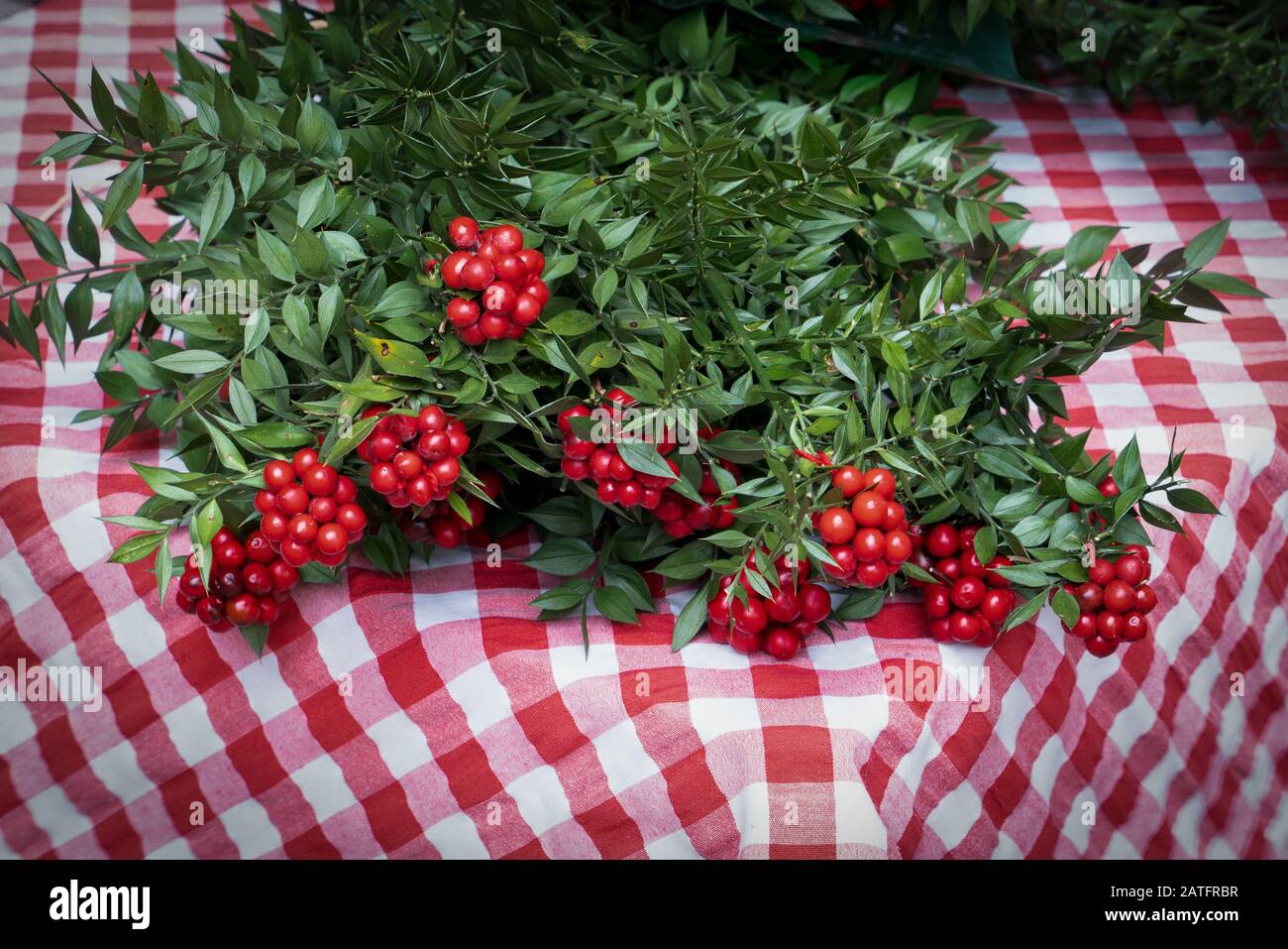 Rote Kokina-Blume (Buscher's Broom) Weihnachtsarrangements mit grünen  Blättern, roten Beeren. Shepherdia argentea, Cowberry Beere 'Kokina Cicegi'  auf Rot Stockfotografie - Alamy