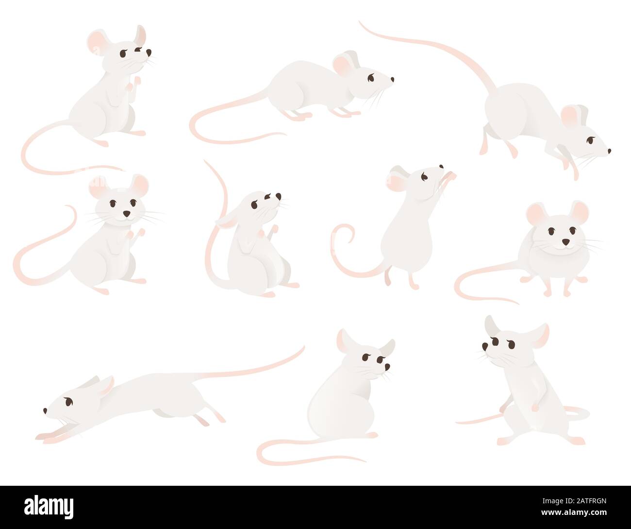 Satz von grauer Maus in verschiedenen Posen niedliche kleine Säugetier-Flachvektor-Illustration isoliert auf weißem Hintergrund Stock Vektor