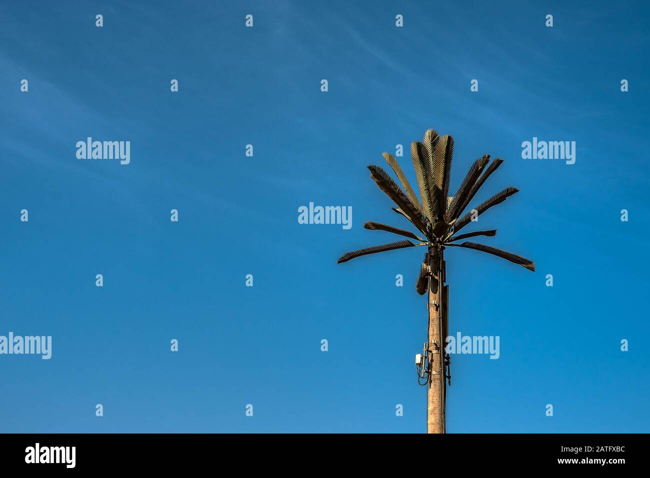 Telekommunikationsantennen zur Simulation von Palmenzweigen, Ägypten, 15. Januar 2020 Stockfoto