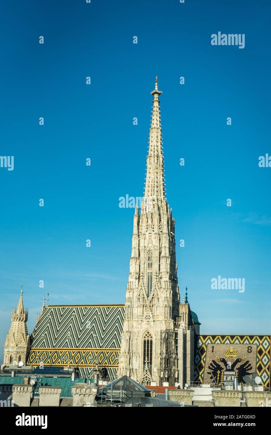 Stephansdom, Wien, Österreich Stockfoto