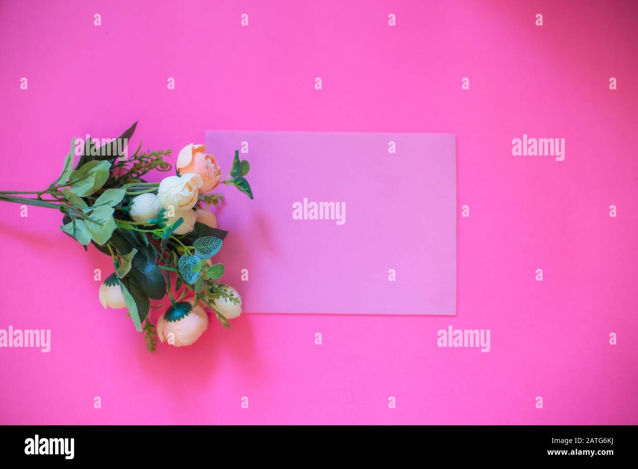 Rahmen aus Rosen auf pinkfarbenem Hintergrund. Flaches Lay. Draufsicht Stockfoto