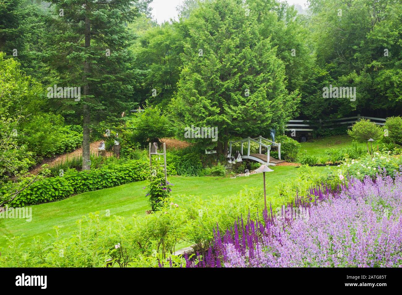 Sommergrenze von Mauve Nepeta - Catmint, lila Salvia nemorosa - Salbei, Fußgängerbrücke und Mulch Fußweg, Le Jardin de Francois Garten Stockfoto