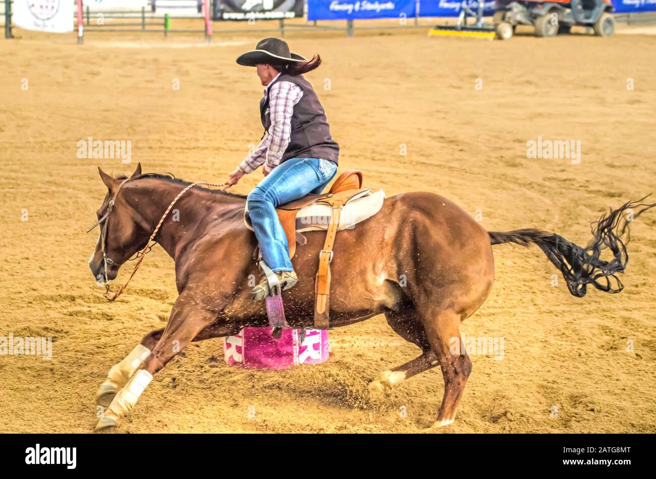 Cowgirl in einem Barrel Race. Stockfoto