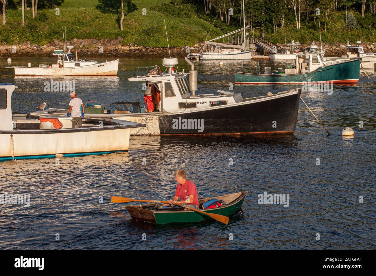 Mann, der zu seinem Boot in Rockport Harbor, Maine rudert Stockfoto