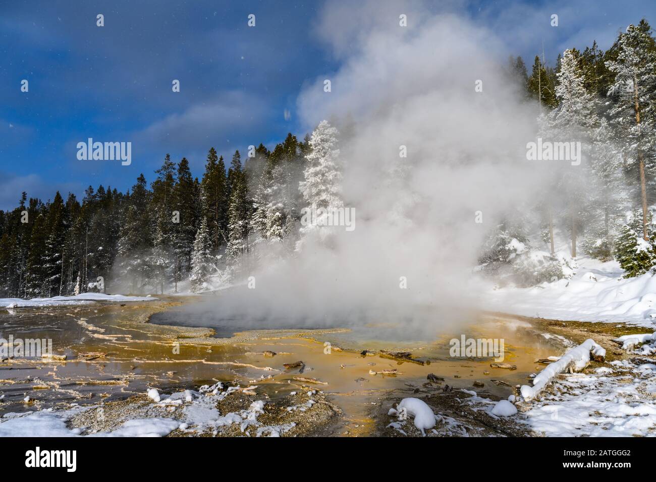 Dampf steigt über heißes Frühjahr. Yellowstone National Park, Wyoming, USA. Stockfoto