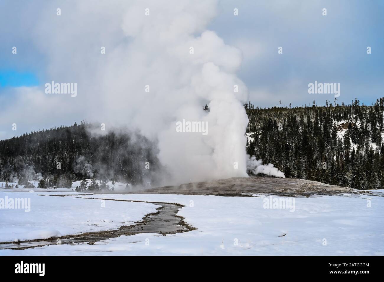 Der Alte Treue Geysir bricht an einem Wintertag aus, sprießt Dampf und heißes Wasser hoch in den Himmel. Yellowstone National Park, Wyoming, USA. Stockfoto