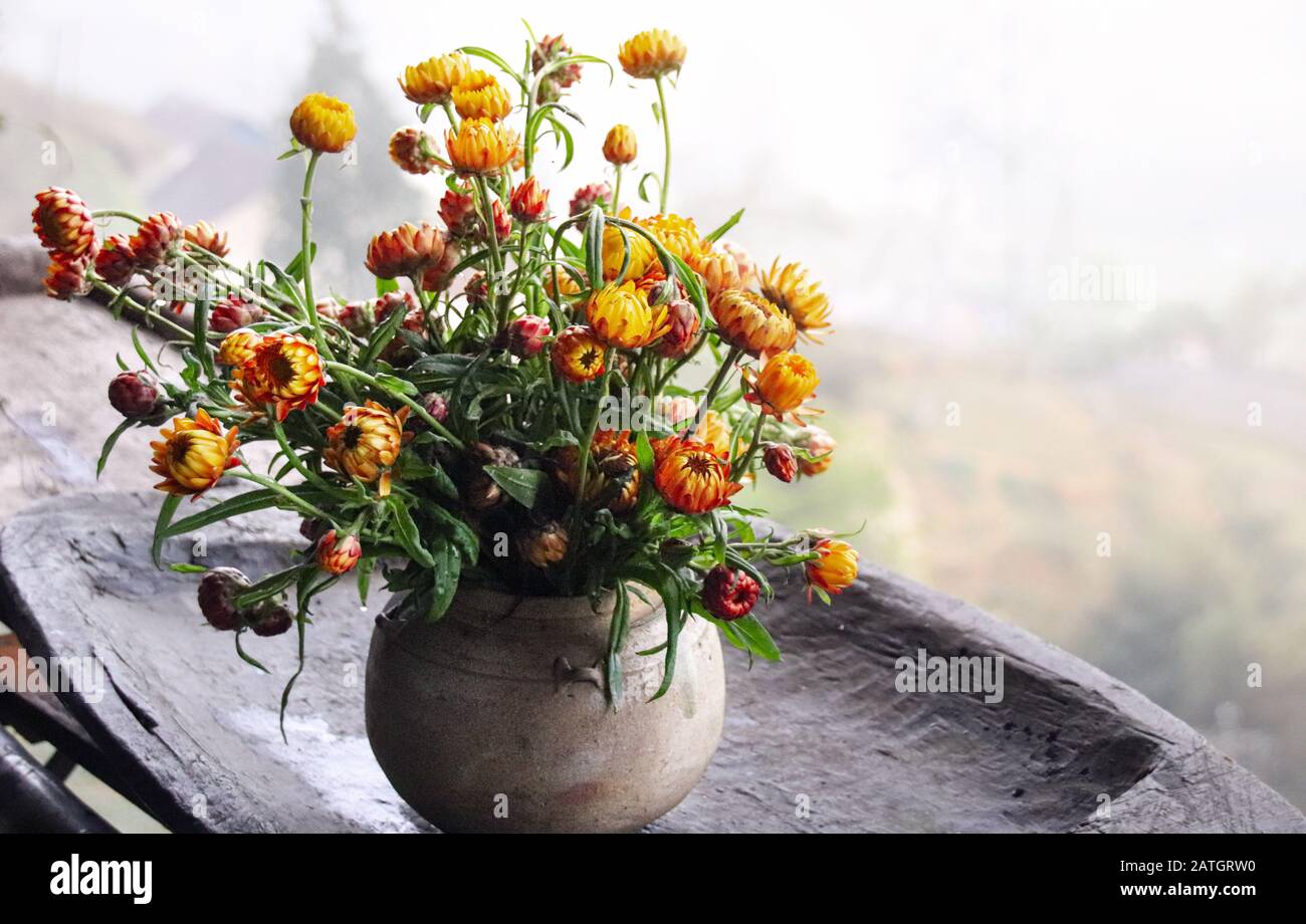 Schöne, mehrjährige Frühlingsblumen in einer Vase für dieses Springzeit-Thema Heimdekoration angeordnet Stockfoto