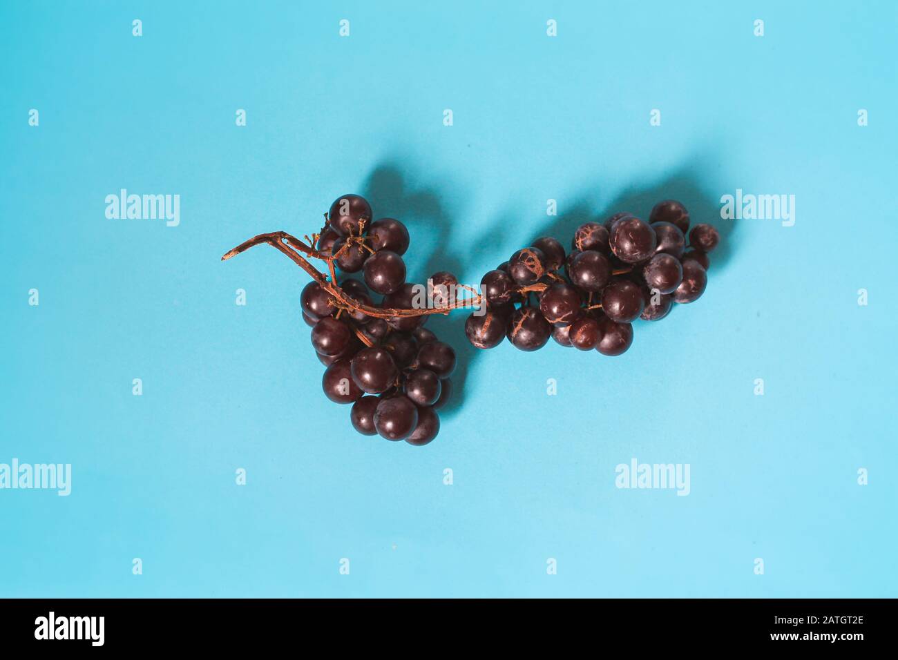 Reife violette Trauben mit hellblauem Hintergrund für Farbkontrast, Spaß- und Popkultur Stockfoto
