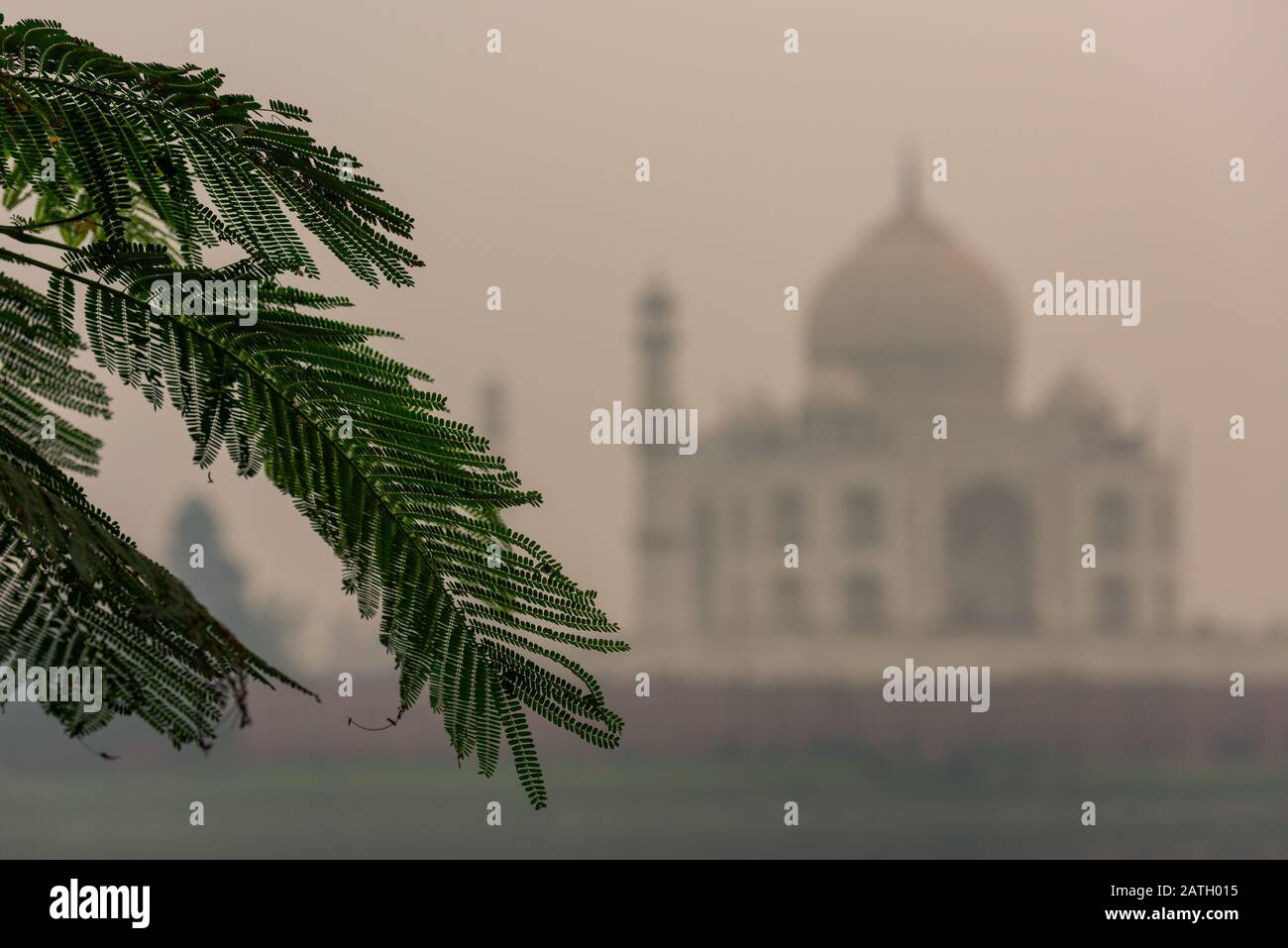 Die Rückseite des Taj Mahal verwischte sich im Hintergrund in Agra, Indien am übertünchen Tag mit Smog Stockfoto