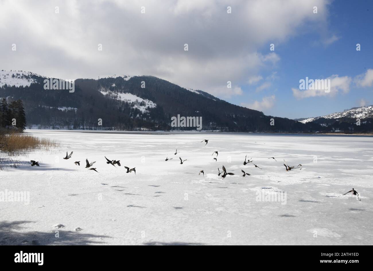 (200203) -- ISTANBUL, 3. Februar 2020 (Xinhua) -- Foto vom 2. Februar 2020 zeigt die Winterlandschaft des Abant-Sees in der Provinz Bolu, Türkei. (Xinhua/Xu Suhui) Stockfoto