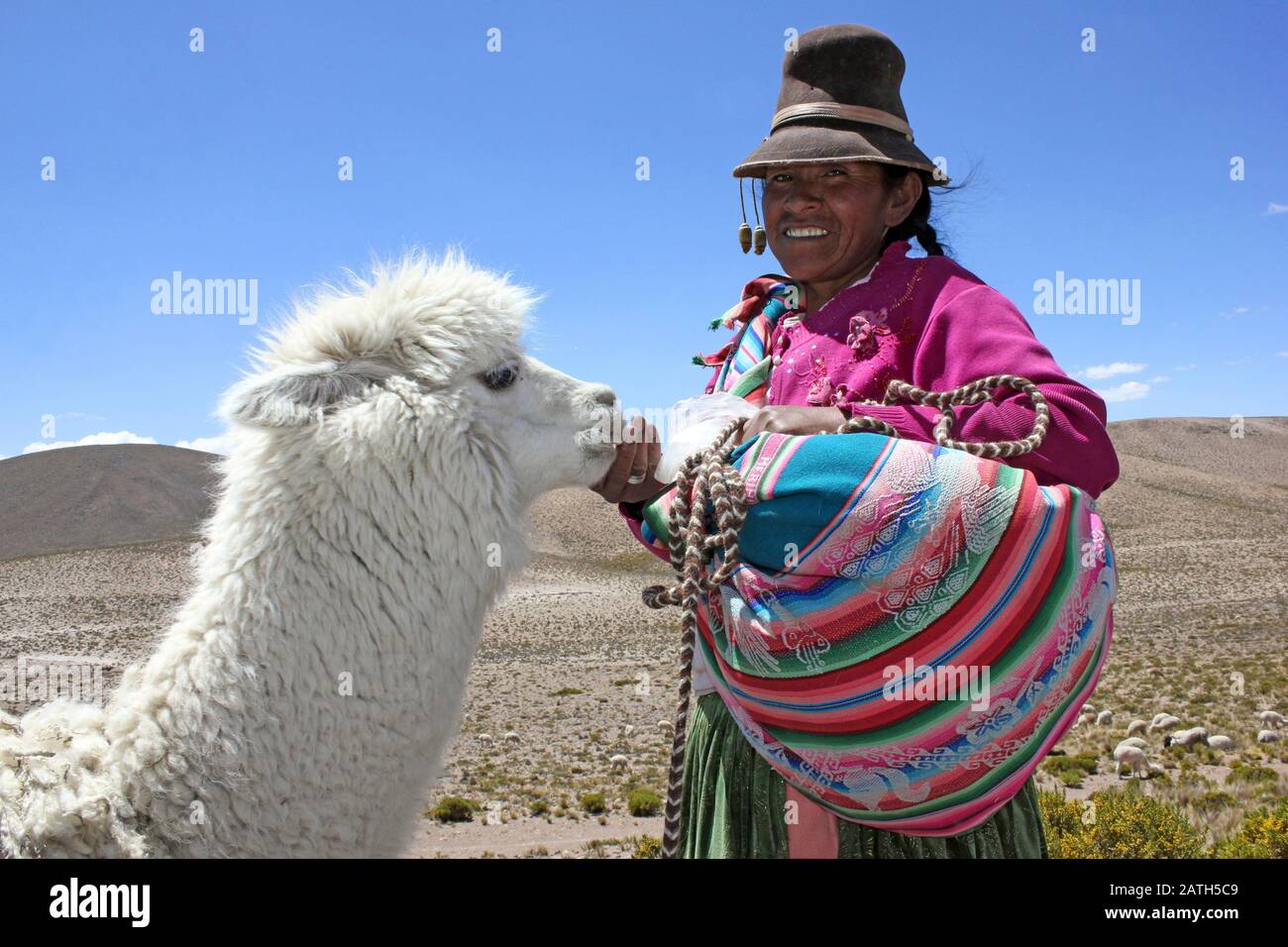 Peruanische Frau mit Alpaka Stockfoto