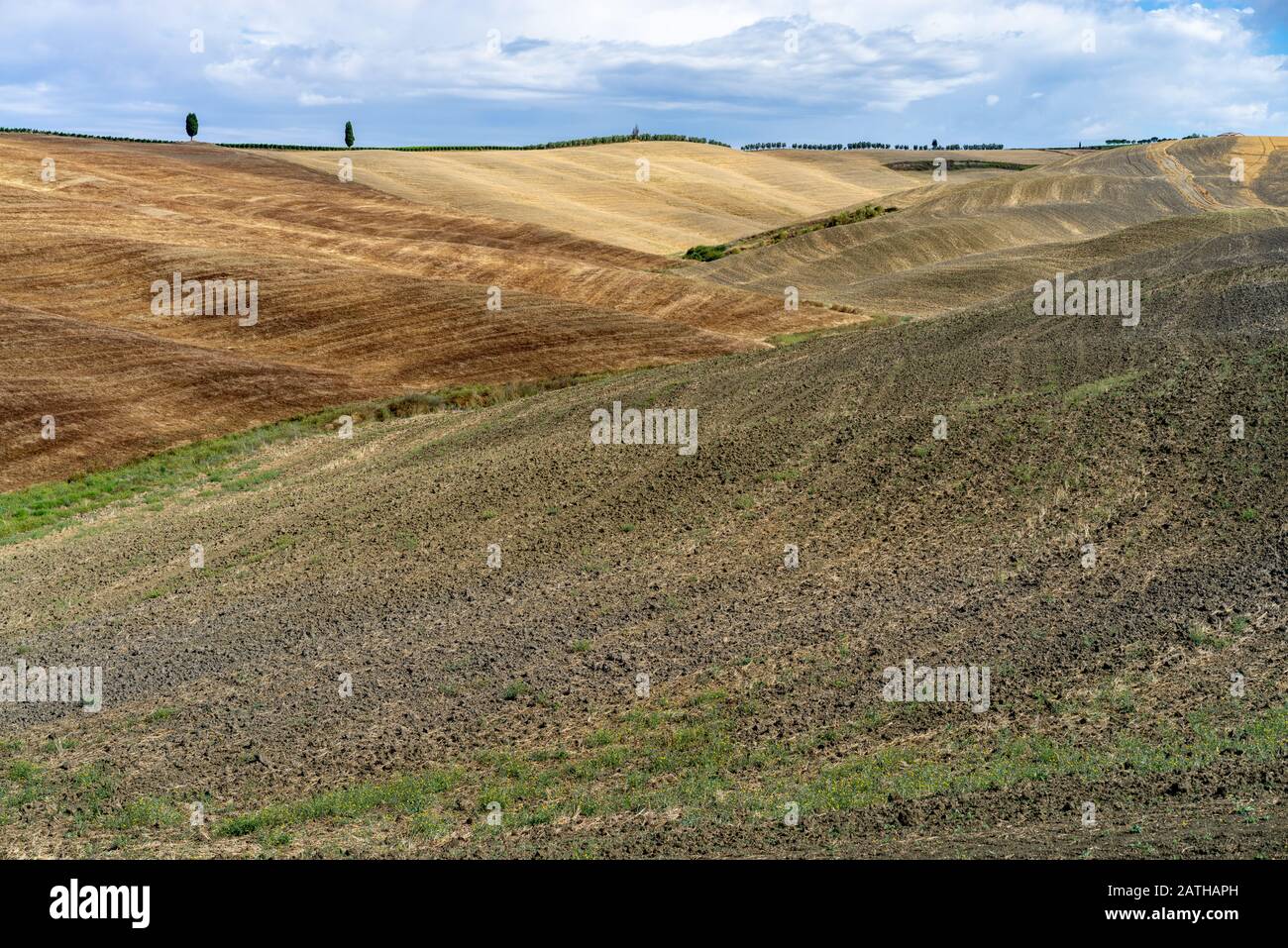 Toscana Felder, Becken und Hügel mitten im Sommer Stockfoto