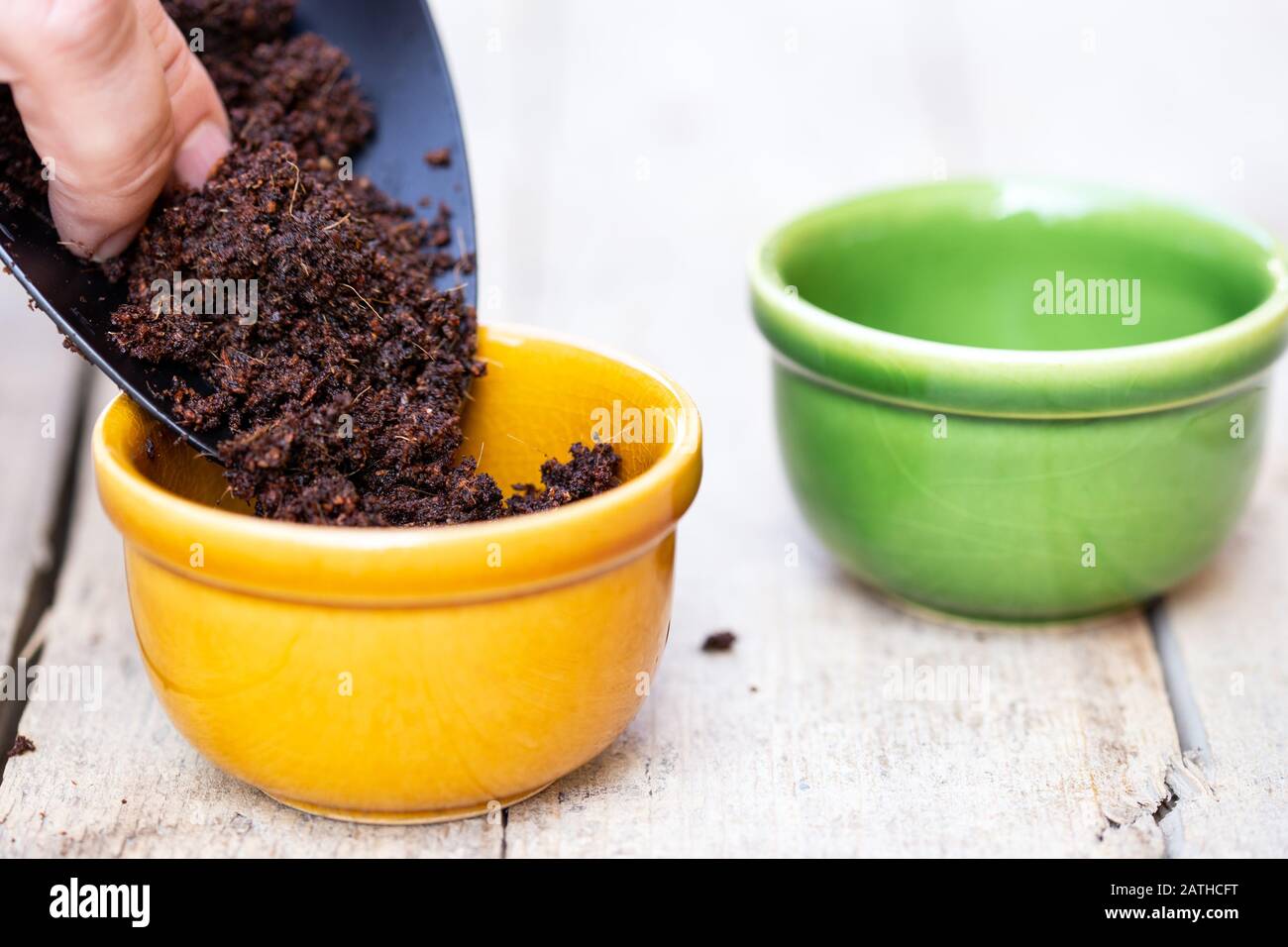 Die männliche Hand füllt einen Töpfungskompost in zwei Töpfe auf einem Holztisch Stockfoto