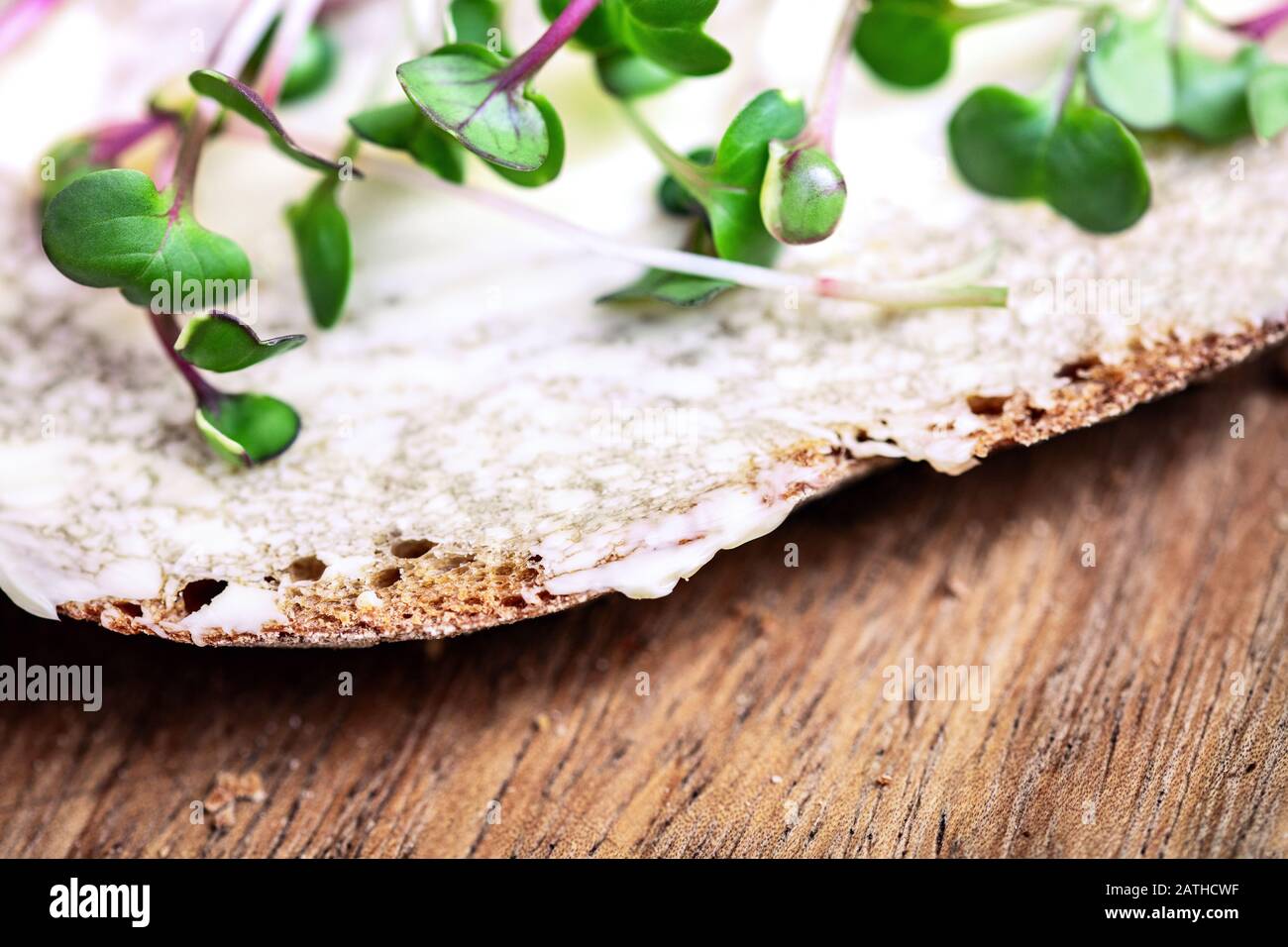 Nahaufnahme eines gesunden Sandwiches oder Brotes mit Mikrogrüns wie Rettich- oder Sprösslinge darauf Stockfoto