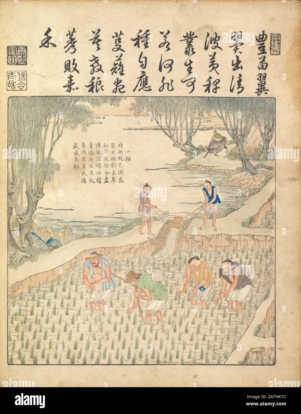 Chinesische Kunst aus dem 17. Jahrhundert Reisanbau in einem Paddy Aus Yu zhi geng zhi tu von Jiao, Bingzhen, 1696 Stockfoto