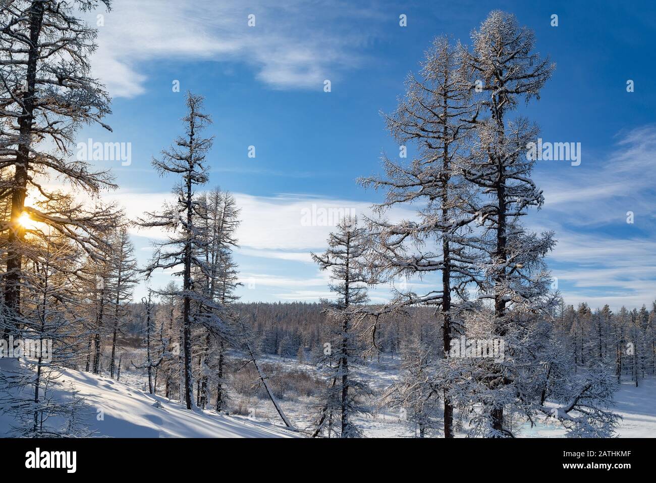 Winterlandschaft in Südjakutien, Russland, an einem frostigen sonnigen Tag Stockfoto