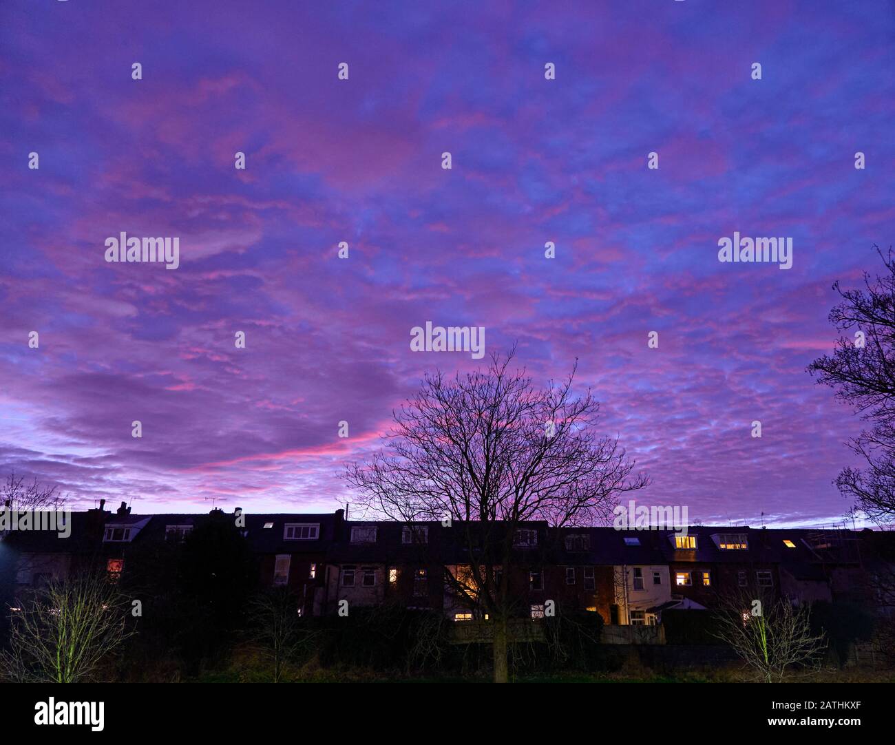 Rosafarbene und violett gefärbte Wolken bei Sonnenuntergang über den Silhouetten von Bäumen und Häusern Stockfoto