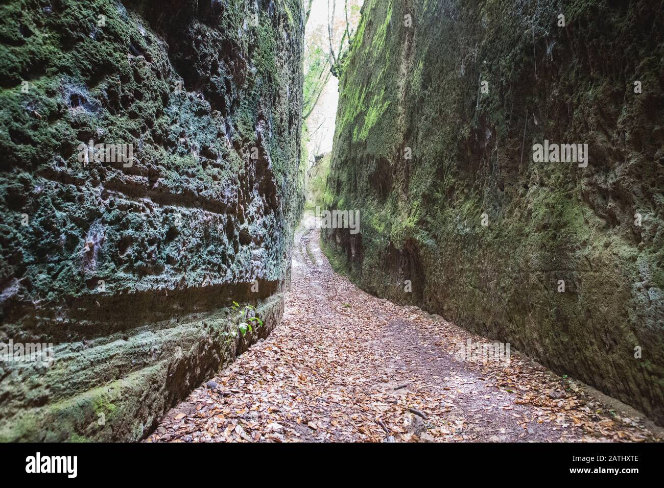 Der enge Pfad, der von der etruskischen Zivilisation im Felsen ausgegraben wurde, benannte die Vie Cave in der Toskana, im Zentrum Italiens, zwischen Pitigliano und Sorano Stockfoto
