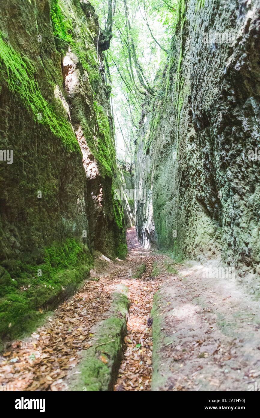 Der enge Pfad, der von der etruskischen Zivilisation im Felsen ausgegraben wurde, benannte die Vie Cave in der Toskana, im Zentrum Italiens, zwischen Pitigliano und Sorano Stockfoto