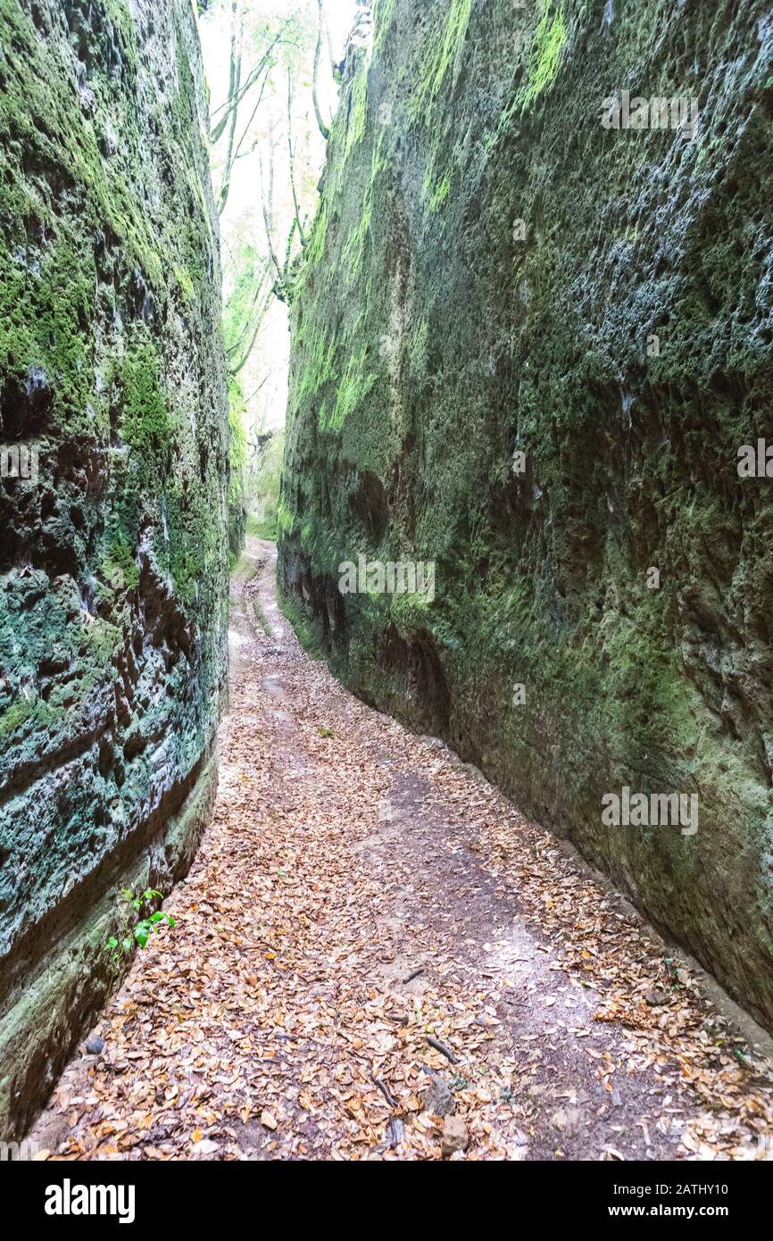 Der enge Pfad, der von der etruskischen Zivilisation im Felsen ausgegraben wurde, benannte die Vie Cave in der Toskana, im Zentrum Italiens, zwischen Pitigliano und Sorano Stockfoto