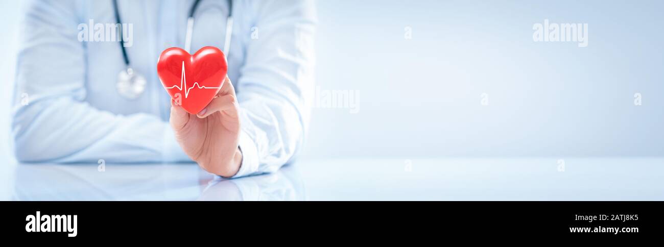Der Arzt hält und zeigt ein rotes Herz. Konzept für Themen: Gesundheit, Unterstützung, internationaler oder nationaler Kardiologietag. Stockfoto