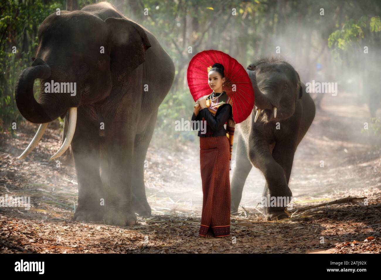 Thailand Elefanten und Frauen tragen Seidenbekleidung Kultur Portraitkonzept Stockfoto