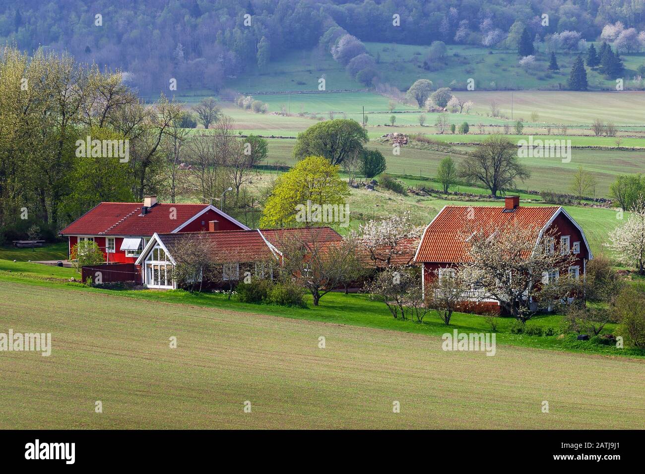 Landbewohner in der schwedischen Landschaft Stockfoto